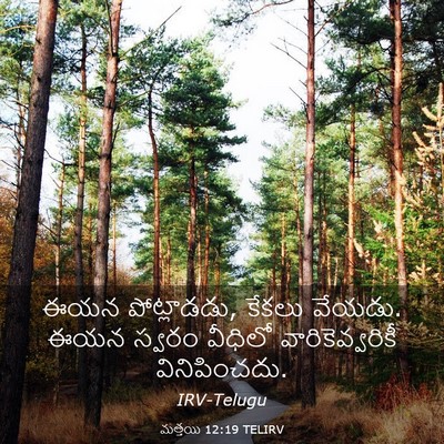 Picture 03 - మత్తయి 12:19 TELIRV - ఈయన పోట్లాడడు, - Bible Verse Picture