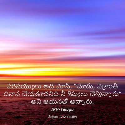 Picture 03 - మత్తయి 12:2 TELIRV - పరిసయ్యులు అది - Bible Verse Picture