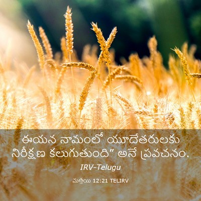 Picture 03 - మత్తయి 12:21 TELIRV - ఈయన నామంలో - Bible Verse Picture