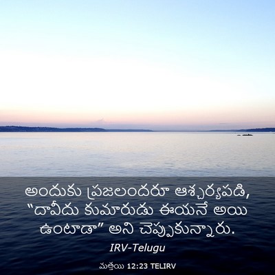 Picture 03 - మత్తయి 12:23 TELIRV - అందుకు ప్రజలందరూ - Bible Verse Picture