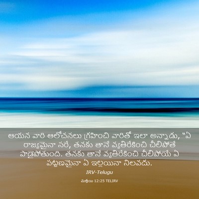 Picture 03 - మత్తయి 12:25 TELIRV - ఆయన వారి ఆలోచనలు - Bible Verse Picture
