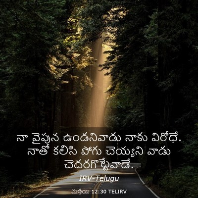 Picture 03 - మత్తయి 12:30 TELIRV - నా వైపున - Bible Verse Picture