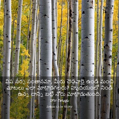 Picture 03 - మత్తయి 12:34 TELIRV - విష సర్ప సంతానమా, - Bible Verse Picture