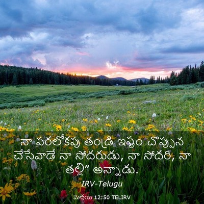 Picture 03 - మత్తయి 12:50 TELIRV - నా పరలోకపు తండ్రి - Bible Verse Picture