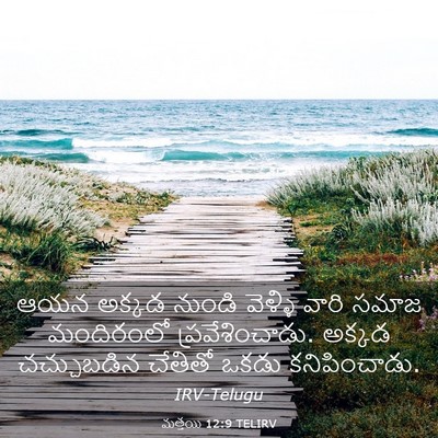 Picture 03 - మత్తయి 12:9 TELIRV - ఆయన అక్కడ నుండి - Bible Verse Picture