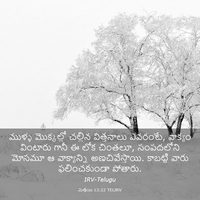 Picture 03 - మత్తయి 13:22 TELIRV - ముళ్ళ మొక్కల్లో - Bible Verse Picture