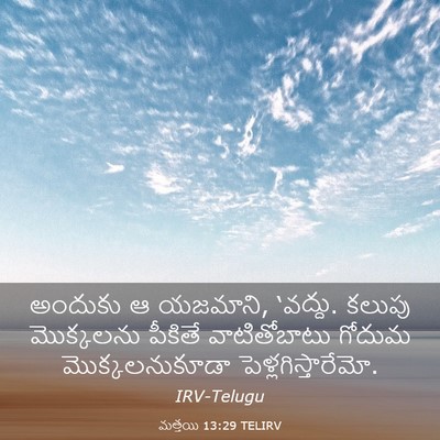 Picture 03 - మత్తయి 13:29 TELIRV - అందుకు ఆ యజమాని, - Bible Verse Picture