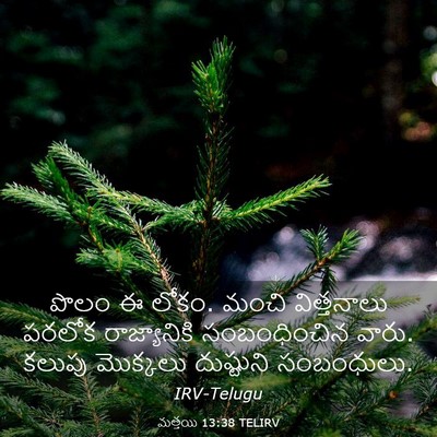 Picture 03 - మత్తయి 13:38 TELIRV - పొలం ఈ లోకం. మంచి - Bible Verse Picture