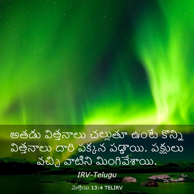 Picture 03 - మత్తయి 13:4 TELIRV - అతడు విత్తనాలు - Bible Verse Picture