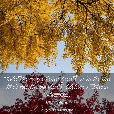 Picture 03 - మత్తయి 13:47 TELIRV - “పరలోకరాజ్యం - Bible Verse Picture