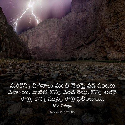Picture 03 - మత్తయి 13:8 TELIRV - మరికొన్ని - Bible Verse Picture