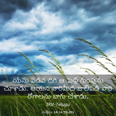 Picture 03 - మత్తయి 14:14 TELIRV - యేసు పడవ దిగి ఆ - Bible Verse Picture