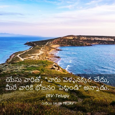 Picture 03 - మత్తయి 14:16 TELIRV - యేసు వారితో, “వారు - Bible Verse Picture