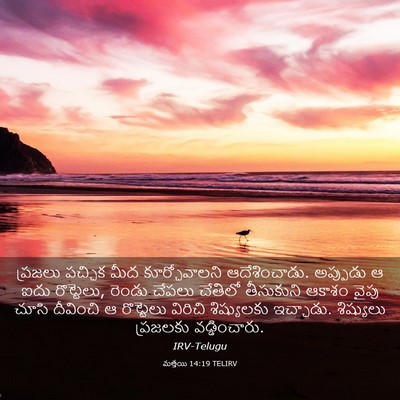Picture 03 - మత్తయి 14:19 TELIRV - ప్రజలు పచ్చిక మీద - Bible Verse Picture