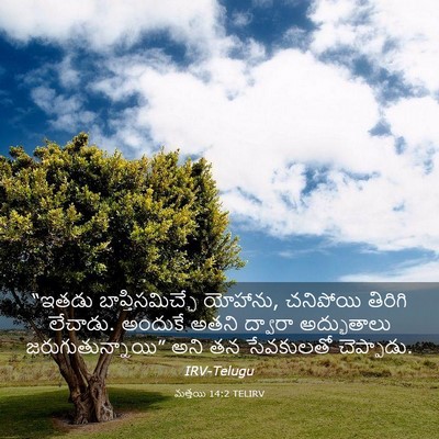 Picture 03 - మత్తయి 14:2 TELIRV - “ఇతడు - Bible Verse Picture