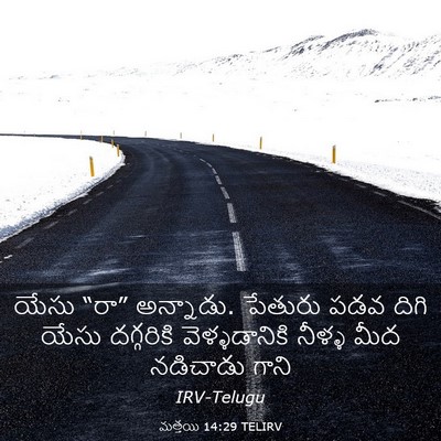 Picture 03 - మత్తయి 14:29 TELIRV - యేసు “రా” అన్నాడు. - Bible Verse Picture