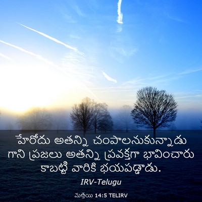 Picture 03 - మత్తయి 14:5 TELIRV - హేరోదు అతన్ని - Bible Verse Picture