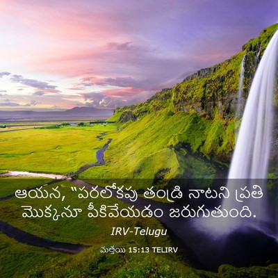 Picture 03 - మత్తయి 15:13 TELIRV - ఆయన, “పరలోకపు - Bible Verse Picture