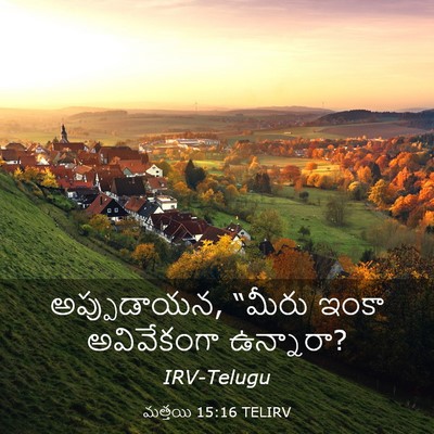 Picture 03 - మత్తయి 15:16 TELIRV - అప్పుడాయన, “మీరు - Bible Verse Picture
