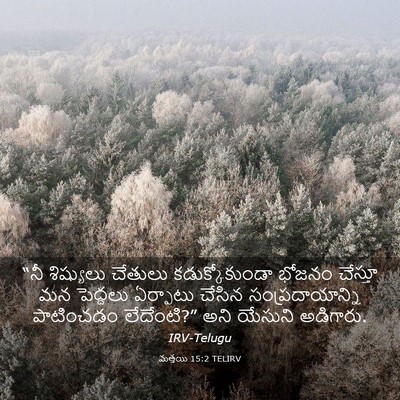 Picture 03 - మత్తయి 15:2 TELIRV - “నీ శిష్యులు - Bible Verse Picture
