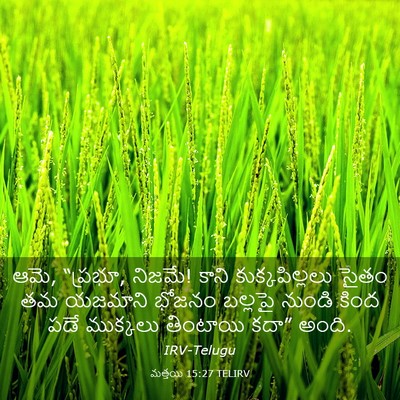 Picture 03 - మత్తయి 15:27 TELIRV - ఆమె, “ప్రభూ, నిజమే! - Bible Verse Picture