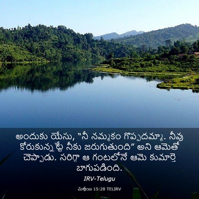 Picture 03 - మత్తయి 15:28 TELIRV - అందుకు యేసు, “నీ - Bible Verse Picture