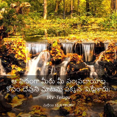 Picture 03 - మత్తయి 15:6 TELIRV - ఆ విధంగా మీరు మీ - Bible Verse Picture
