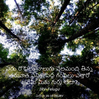 Picture 03 - మత్తయి 16:10 TELIRV - ఏడు రొట్టెలు - Bible Verse Picture