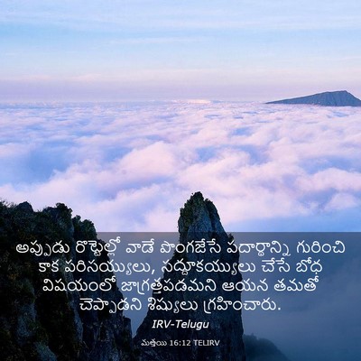 Picture 03 - మత్తయి 16:12 TELIRV - అప్పుడు - Bible Verse Picture