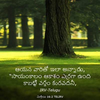 Picture 03 - మత్తయి 16:2 TELIRV - ఆయన వారితో ఇలా - Bible Verse Picture