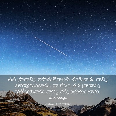 Picture 03 - మత్తయి 16:25 TELIRV - తన ప్రాణాన్ని - Bible Verse Picture