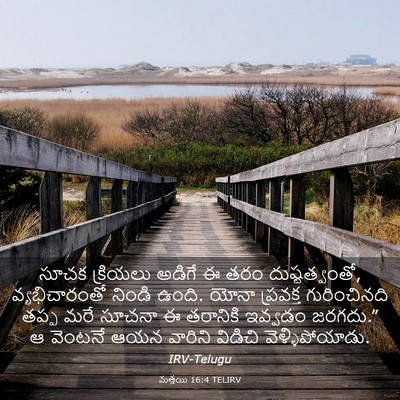 Picture 03 - మత్తయి 16:4 TELIRV - సూచక క్రియలు - Bible Verse Picture