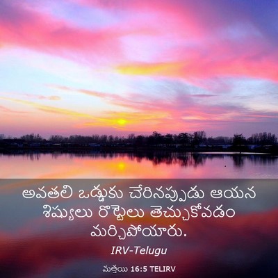 Picture 03 - మత్తయి 16:5 TELIRV - అవతలి ఒడ్డుకు - Bible Verse Picture
