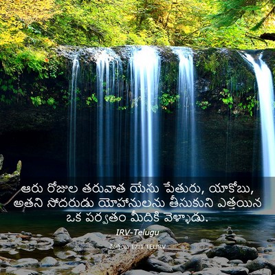 Picture 03 - మత్తయి 17:1 TELIRV - ఆరు రోజుల తరువాత - Bible Verse Picture