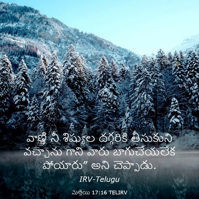 Picture 03 - మత్తయి 17:16 TELIRV - వాణ్ణి నీ శిష్యుల - Bible Verse Picture