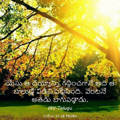 Picture 03 - మత్తయి 17:18 TELIRV - యేసు ఆ దయ్యాన్ని - Bible Verse Picture