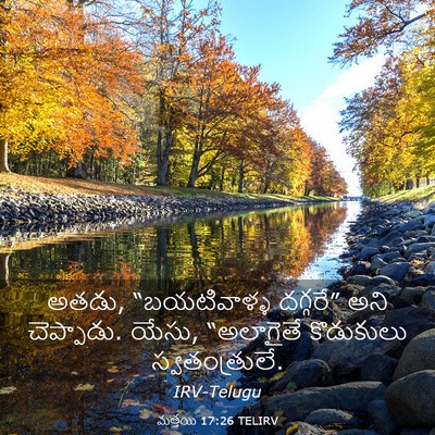 Picture 03 - మత్తయి 17:26 TELIRV - అతడు, “బయటివాళ్ళ - Bible Verse Picture