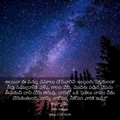 Picture 03 - మత్తయి 17:27 TELIRV - అయినా ఈ పన్ను - Bible Verse Picture