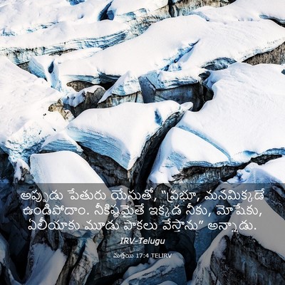 Picture 03 - మత్తయి 17:4 TELIRV - అప్పుడు పేతురు - Bible Verse Picture