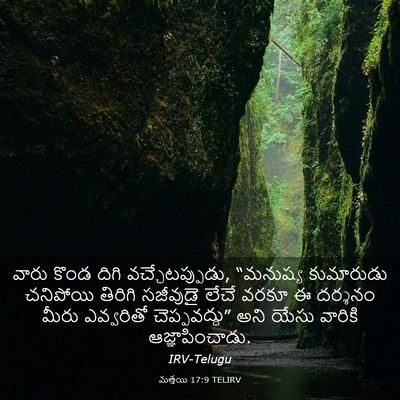 Picture 03 - మత్తయి 17:9 TELIRV - వారు కొండ దిగి - Bible Verse Picture