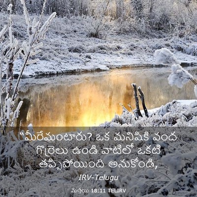 Picture 03 - మత్తయి 18:11 TELIRV - “మీరేమంటారు? ఒక - Bible Verse Picture