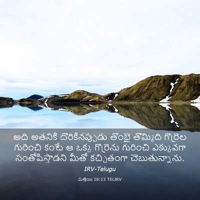 Picture 03 - మత్తయి 18:13 TELIRV - అది అతనికి - Bible Verse Picture