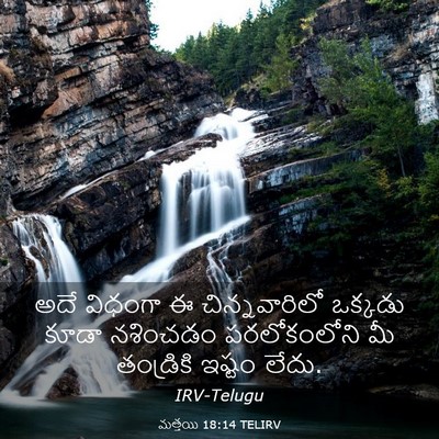 Picture 03 - మత్తయి 18:14 TELIRV - అదే విధంగా ఈ - Bible Verse Picture