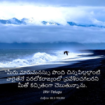 Picture 03 - మత్తయి 18:3 TELIRV - “మీరు మారుమనస్సు - Bible Verse Picture