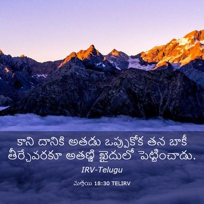 Picture 03 - మత్తయి 18:30 TELIRV - కాని దానికి అతడు - Bible Verse Picture
