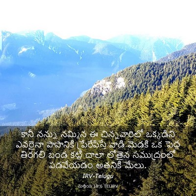 Picture 03 - మత్తయి 18:6 TELIRV - కానీ నన్ను నమ్మిన - Bible Verse Picture