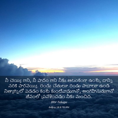 Picture 03 - మత్తయి 18:8 TELIRV - నీ చెయ్యి గాని, నీ - Bible Verse Picture