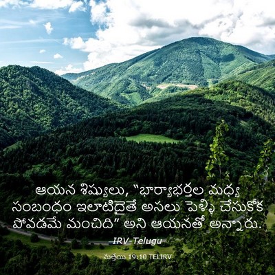 Picture 03 - మత్తయి 19:10 TELIRV - ఆయన శిష్యులు, - Bible Verse Picture