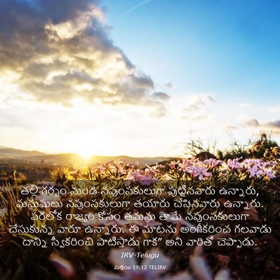 Picture 03 - మత్తయి 19:12 TELIRV - తల్లి గర్భం నుండి - Bible Verse Picture