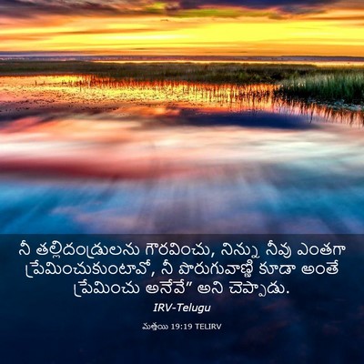 Picture 03 - మత్తయి 19:19 TELIRV - నీ తల్లిదండ్రులను - Bible Verse Picture